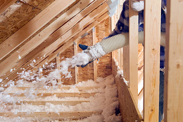 Best Blown-In Insulation  in Hotchkiss, CO